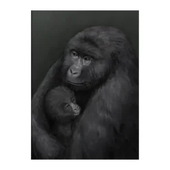Affiche Bergsgorillan, 50x70 cm