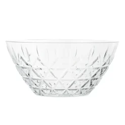 Bol Picknick Ø26 cm , Transparent