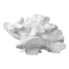 Coral fan, White