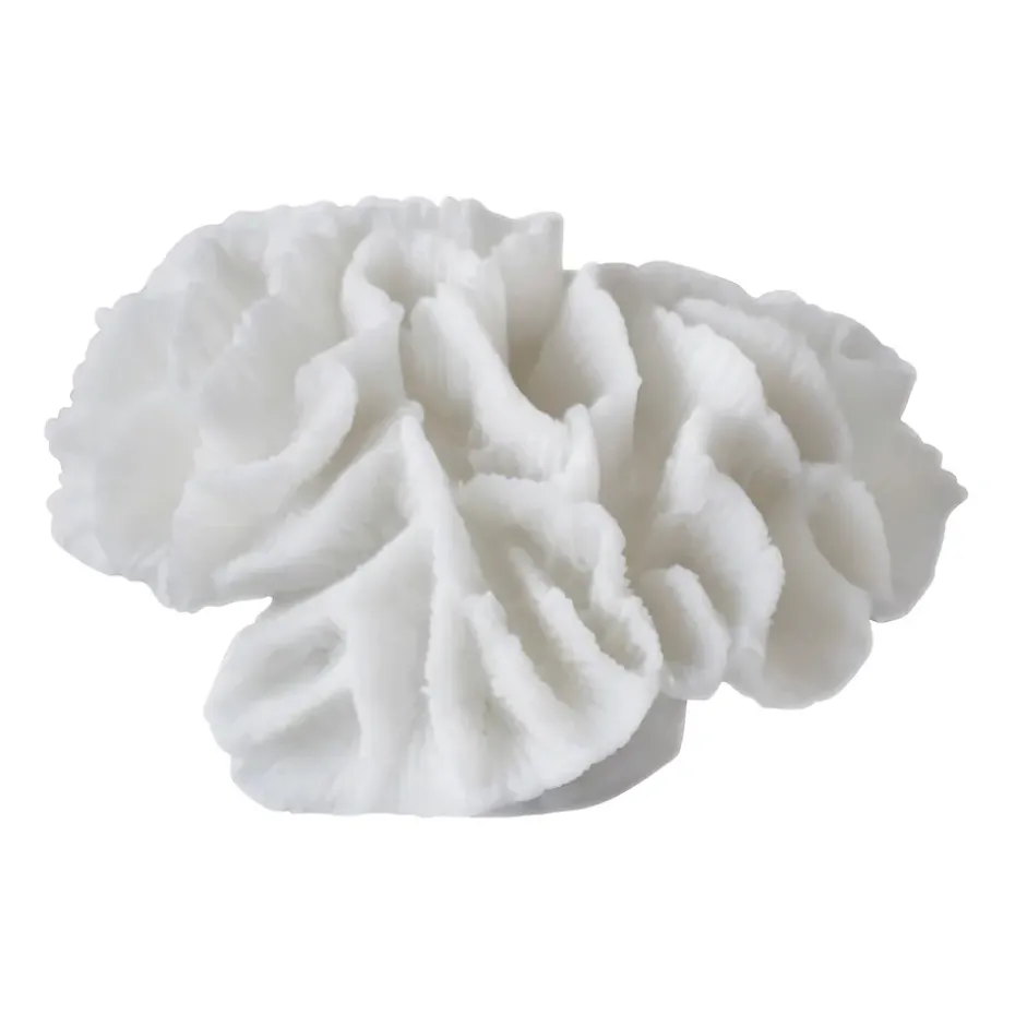 Coral gills, White
