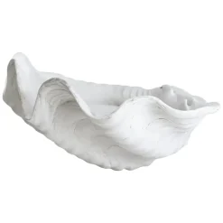 Décoration Shell, Large