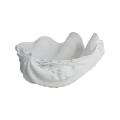 Décoration Shell, Small