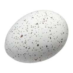Easter Deco œufs lot de 2, White