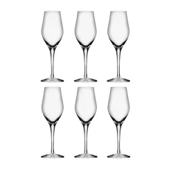 Flûte à champagne Sense 25,5 cl, lot de 6, Transparent