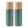 Moulin à sel & poivre Bitz 17 cm 2 pièces, Vert