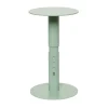 Porte-rouleau de papier Rolling 25 cm, Green