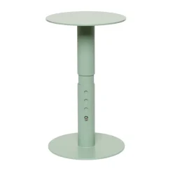 Porte-rouleau de papier Rolling 25 cm, Green