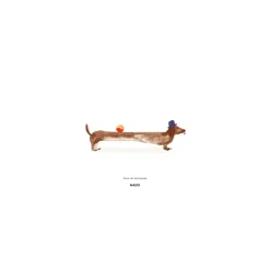 Poster Doug the Dachshund, 30x40 cm