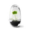 Serre Grow, Small ø8 cm