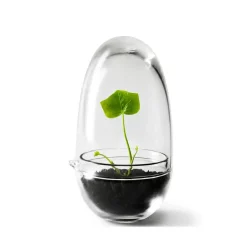 Serre Grow, Small ø8 cm