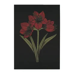Serviette de cuisine Kapamaryllis 48x70 cm, Noir-rouge