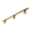 Suspension Focus L900 switch tune, Brass