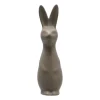 Swedish rabbit large, Dust
