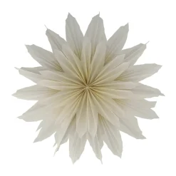 Étoile de l’Avent Brisk, Ø50 cm