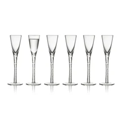 Verre à schnaps Paris 2,5 cl 6 pièces, Transparent